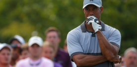 Feherty says Tiger may never return