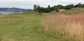 Chambers’ hires fescue specialists