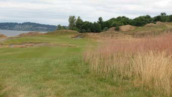 Chambers’ hires fescue specialists