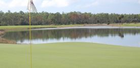 Florida golf: Gators and grabby grass