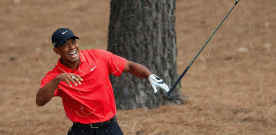 Tree root causes injury to Tiger’s hand
