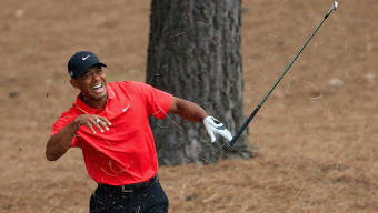 Tree root causes injury to Tiger’s hand