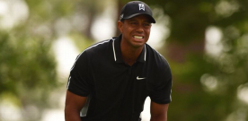 Back spasms for Tiger; withdraws