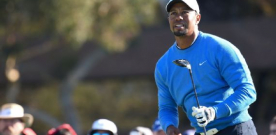 Tiger pulls out of next two PGA events