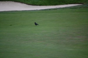 The first birdie of the day at the par-5 18th