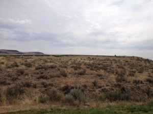 You tee shot view for No. 3. You need to carry the sagebrush and over the ridge.