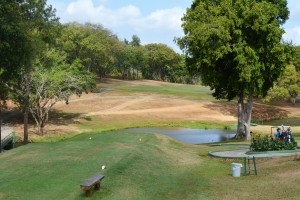 The first hole at Golf de Panama is through a tunnel of trees